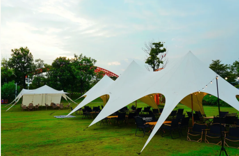 1677831683432087.png d33c644680a0d9f02a039103dc81715.png